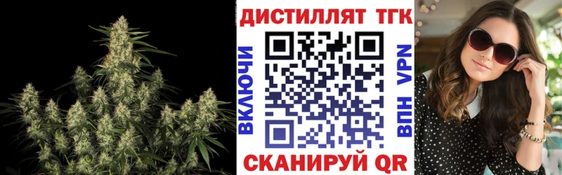 как найти закладки  Советск  ТГК THC oil 