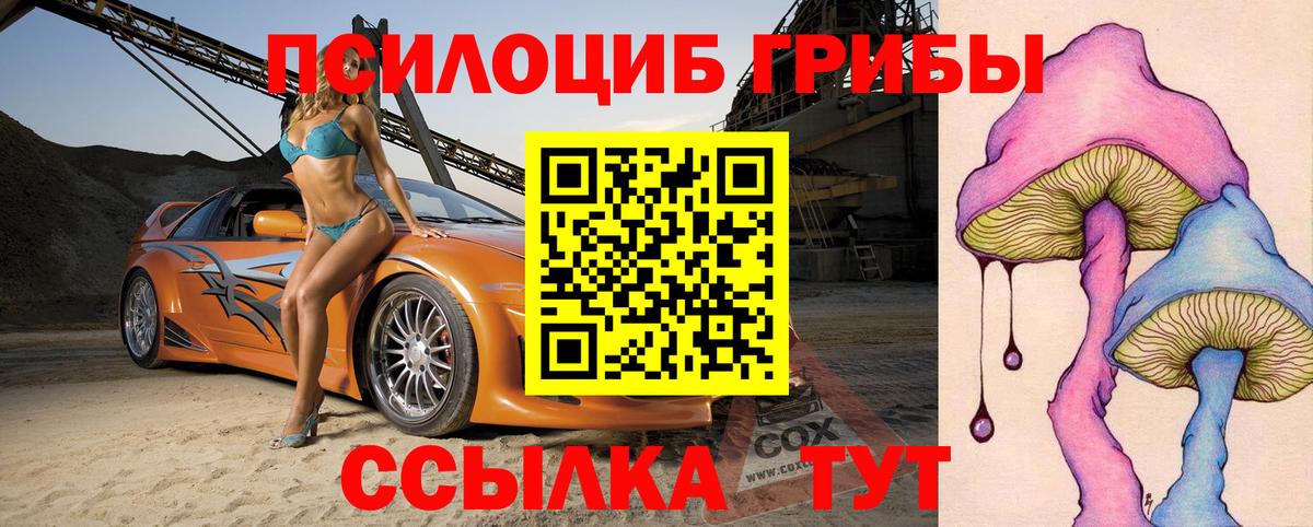 Советск  Псилоцибиновые грибы мицелий  Вход с VPN 