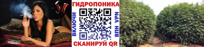 Бошки Шишки индика  МЕГА ссылка  Советск 